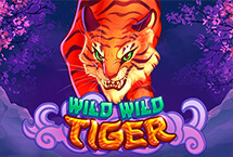 WILD WILD TIGER