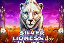 SILVER LIONESS