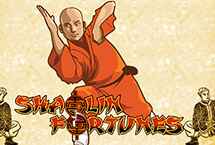 SHAOLIN FORTUNE