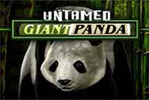 UNTAMED GIANT PANDA