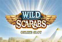 WILD SCARABS