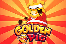 GOLDEN PIG