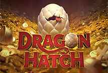 DRAGONS HATCH