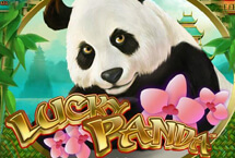 LUCKY PANDA